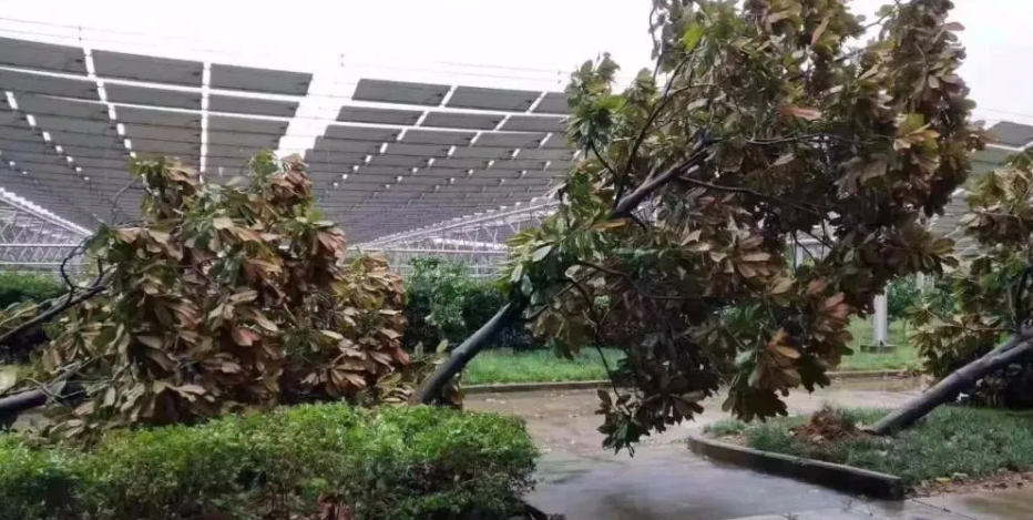 有可靠證據(jù)表明光伏電站和臺風不吹(圖1) 光伏發(fā)電設備